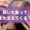 抜いた髪の毛はまた生えてくるのか？